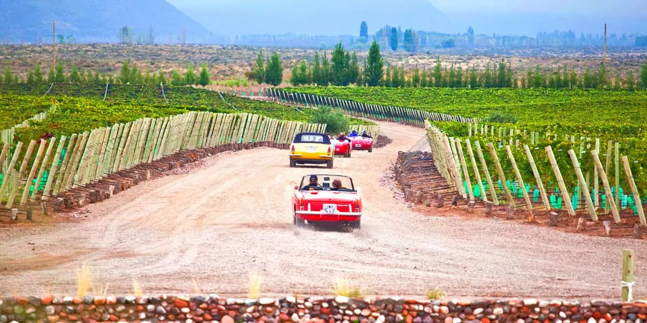 Casamento na Casa De Uco Vineyards & Wine Resort 